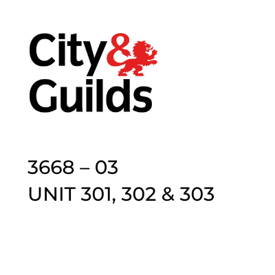 CITY AND GUILDS 3668 - 03 Unit 301, 302, 303 Training Package